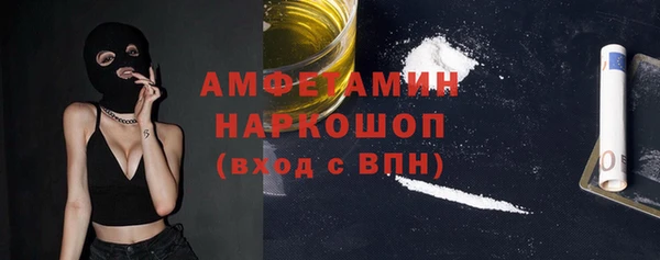 шишки Арсеньев