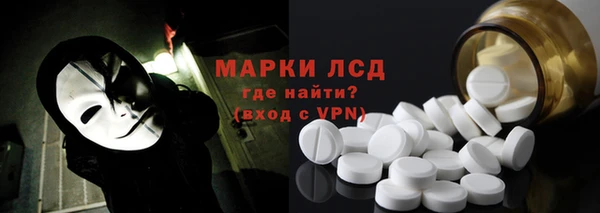 шишки Арсеньев