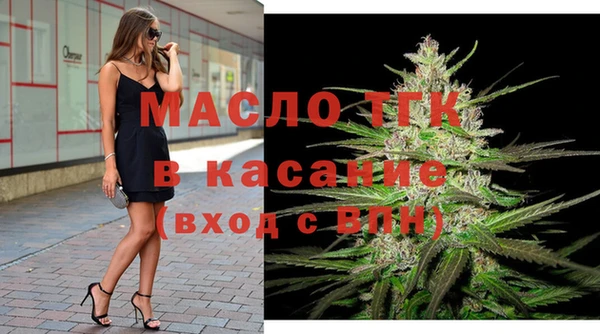 шишки Арсеньев