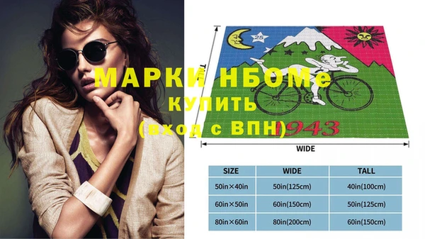 шишки Арсеньев