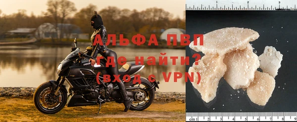 шишки Арсеньев