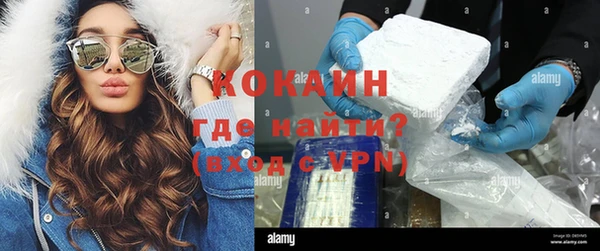 шишки Алексин
