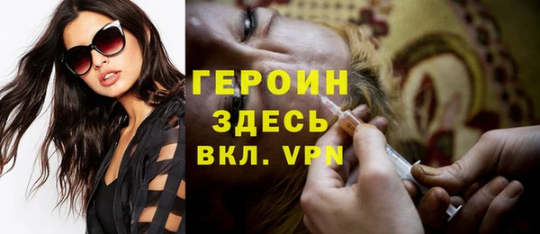 шишки Арсеньев